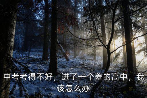 中考考得不好，進了一個差的高中，我該怎么辦