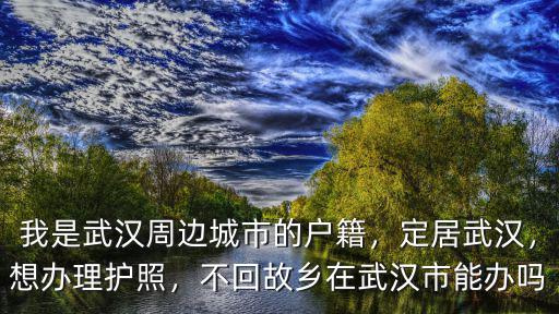 我是武漢周邊城市的戶籍，定居武漢，想辦理護照，不回故鄉在武漢市能辦嗎