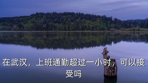在武漢安團(tuán)上班怎么樣,在武漢打工生活怎么樣