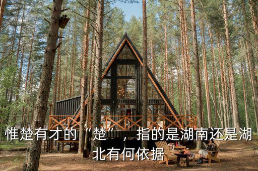 惟楚有才的“楚”，指的是湖南還是湖北有何依據