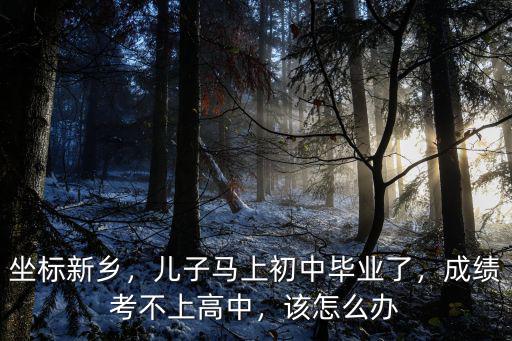 河南省初中考不上高中怎么辦,成績考不上高中