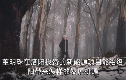董明珠在洛陽投資的新能源項目能給洛陽帶來怎樣的發展機遇