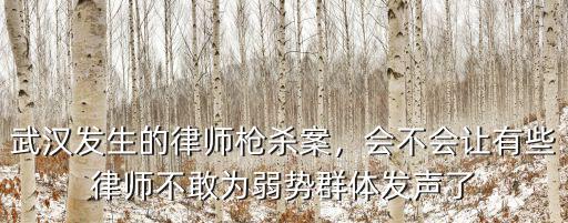 武漢律師怎么被殺的,武漢發生的律師槍殺案