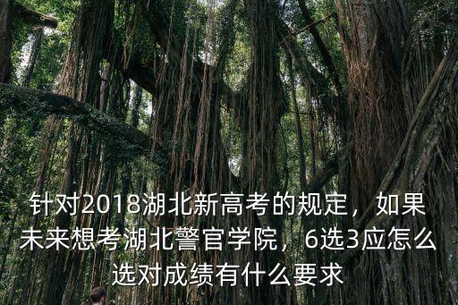 針對2018湖北新高考的規(guī)定，如果未來想考湖北警官學(xué)院，6選3應(yīng)怎么選對成績有什么要求