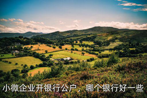 湖北銀行小微企業(yè)中心怎么樣,小微企業(yè)開銀行公戶