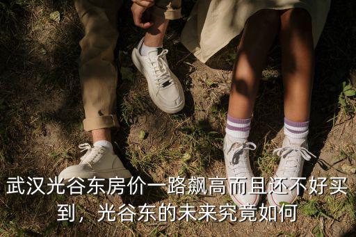 武漢光谷東房價一路飆高而且還不好買到，光谷東的未來究竟如何