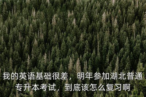 我的英語基礎很差，明年參加湖北普通專升本考試，到底該怎么復習啊