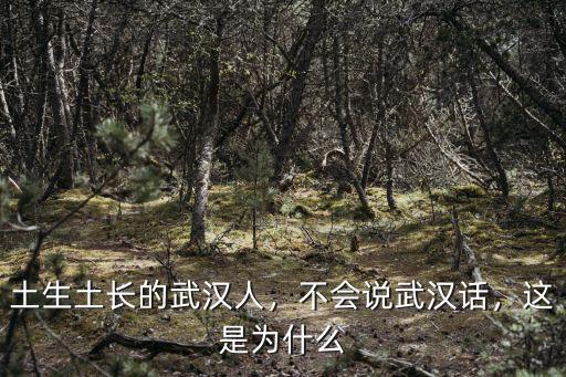 武漢話慢怎么說,不會說武漢話