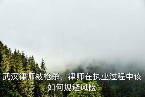武漢槍擊律師是怎么回事,武漢律師被槍殺