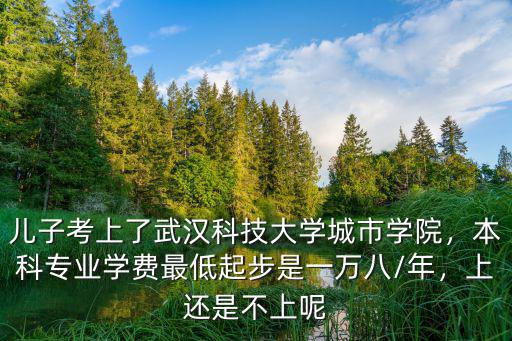 兒子考上了武漢科技大學城市學院，本科專業學費最低起步是一萬八/年，上還是不上呢