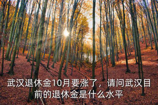 武漢退休金10月要漲了，請問武漢目前的退休金是什么水平