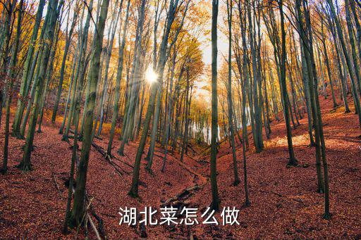 湖北農(nóng)家菜怎么做,湖北菜怎么做