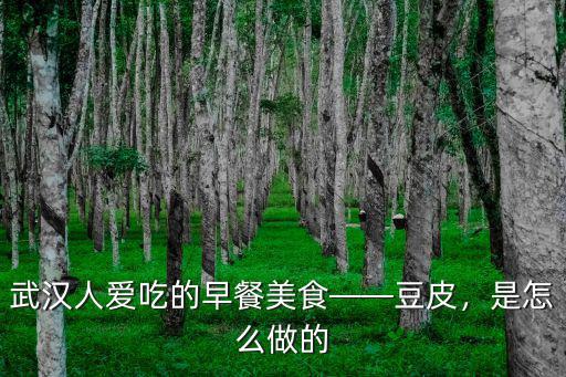 武漢豆皮的臊子怎么做,武漢傳統早餐三鮮豆皮怎么做