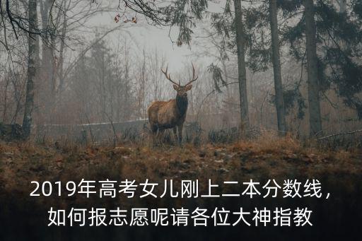 河南二本壓線怎么報志愿,河南省二批次壓線怎么報志愿