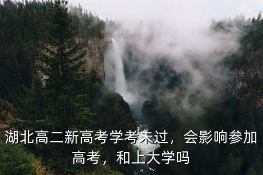 湖北新高考模式合格考不及格怎么辦,湖北高二新高考學考未過