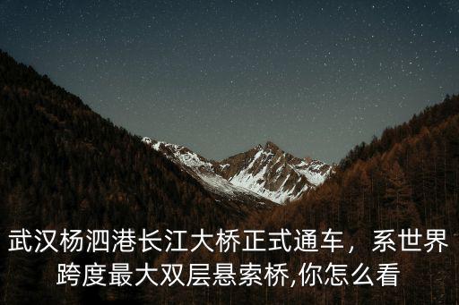 武漢楊泗港長江大橋正式通車，系世界跨度最大雙層懸索橋,你怎么看