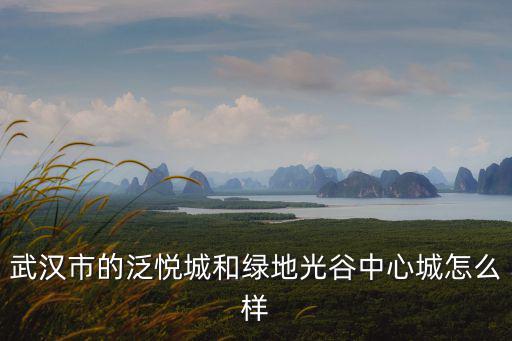 武漢市光谷網絡中心怎么樣,武漢光谷中心城