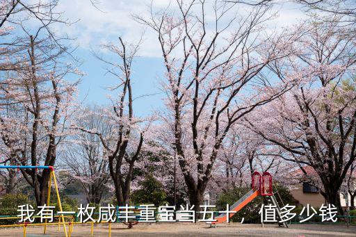 咸豐重寶當五十河南局多少錢,咸豐重寶當50多少錢一個