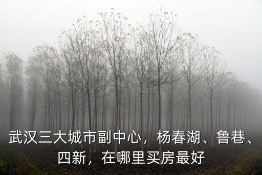 武漢四新區(qū)位怎么樣,武漢漢陽的房子怎么樣