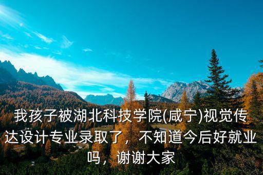 我孩子被湖北科技學院(咸寧)視覺傳達設計專業錄取了，不知道今后好就業嗎，謝謝大家