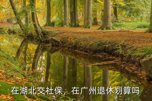 湖北社保在廣州交了怎么辦,在湖北交社保