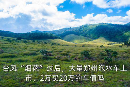 臺風“煙花”過后，大量鄭州泡水車上市，2萬買20萬的車值嗎