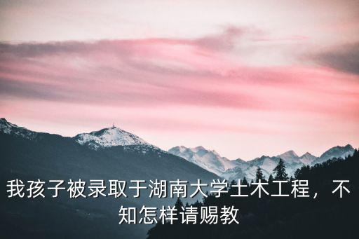 武漢大學湖南大學土木工程怎么樣,考入湖南大學土木工程專業