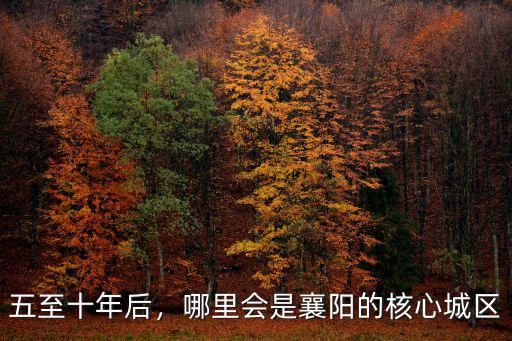 五至十年后，哪里會是襄陽的核心城區
