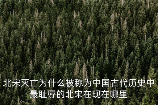 北宋滅亡為什么被稱為中國古代歷史中最恥辱的北宋在現在哪里