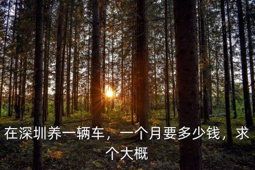 深圳到漯河高速費(fèi)多少錢(qián)一個(gè)月,一個(gè)月要多少錢(qián)