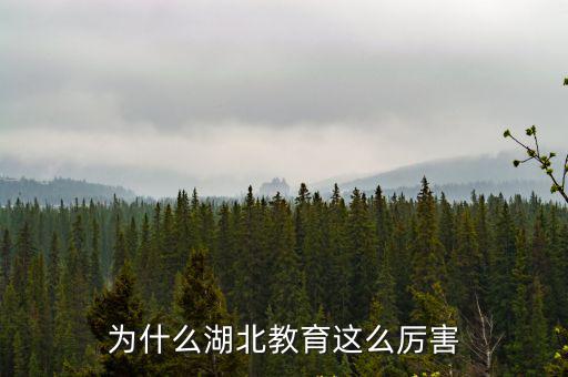 為什么湖北教育這么厲害
