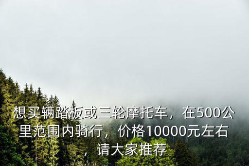 隨州三輪摩托車價錢怎么樣,想買輛踏板或三輪摩托車