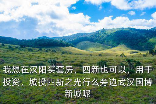 我想在漢陽買套房，四新也可以，用于投資，城投四新之光行么旁邊武漢國博新城呢