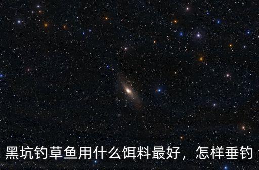 武漢黑坑混養塘怎么釣,黑坑混養塘釣青魚有什么技巧