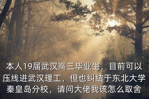 本人19屆武漢高三畢業(yè)生，目前可以壓線進武漢理工，但也糾結(jié)于東北大學秦皇島分校，請問大佬我該怎么取舍