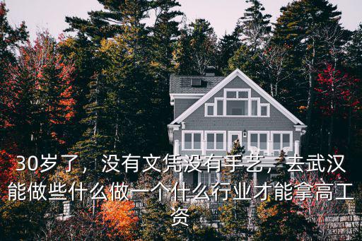 30歲了，沒有文憑沒有手藝，去武漢能做些什么做一個什么行業(yè)才能拿高工資