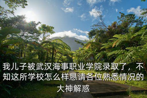 我兒子被武漢海事職業(yè)學(xué)院錄取了，不知這所學(xué)校怎么樣懇請(qǐng)各位熟悉情況的大神解惑