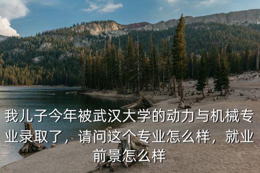 我兒子今年被武漢大學的動力與機械專業錄取了，請問這個專業怎么樣，就業前景怎么樣