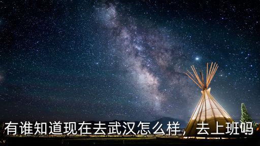 有誰知道現(xiàn)在去武漢怎么樣，去上班嗎