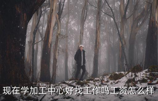 襄陽加工中心操作員工資怎么樣,加工中心工資問題