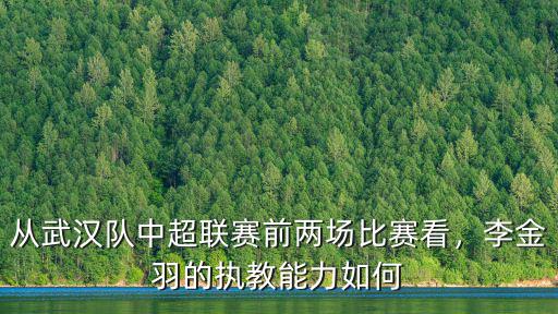 從武漢隊中超聯賽前兩場比賽看，李金羽的執教能力如何