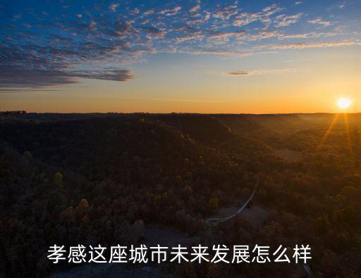 孝感宇佳商貿(mào)怎么樣,武漢指路者商貿(mào)公司怎么樣