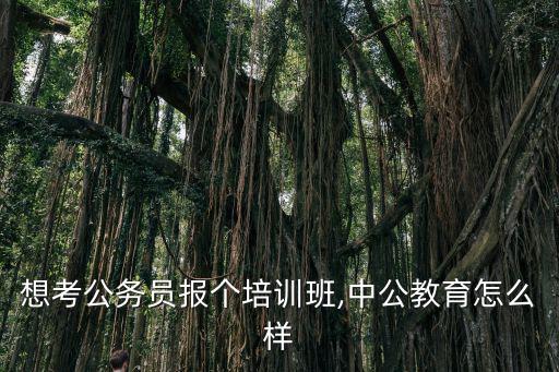 想考公務員報個培訓班,中公教育怎么樣