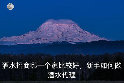 湖北酒水招商代理怎么弄,酒水代理怎么做