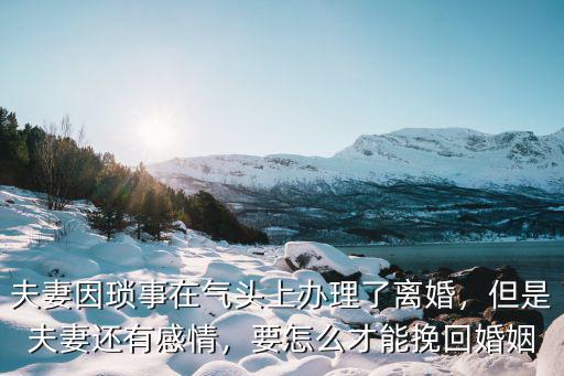 夫妻因瑣事在氣頭上辦理了離婚，但是夫妻還有感情，要怎么才能挽回婚姻