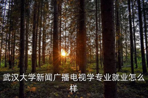 武漢大學新聞廣播電視學專業就業怎么樣