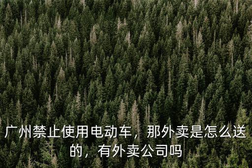 廣州禁止使用電動車，那外賣是怎么送的，有外賣公司嗎