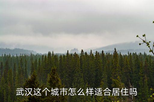 武漢這個城市怎么樣適合居住嗎