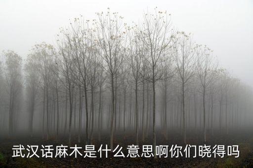 鹿用武漢話怎么說,武漢人究竟說的是什么話