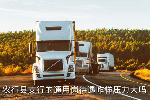 襄陽(yáng)農(nóng)行待遇怎么樣,農(nóng)行縣支行的通用崗待遇咋樣